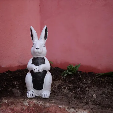 Fisi Heritage Residence, Prime Location *